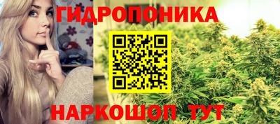 гидропоника Мариинск