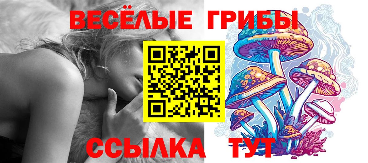 Дзержинск  где найти   Вход с VPN  Псилоцибиновые грибы прущие грибы 
